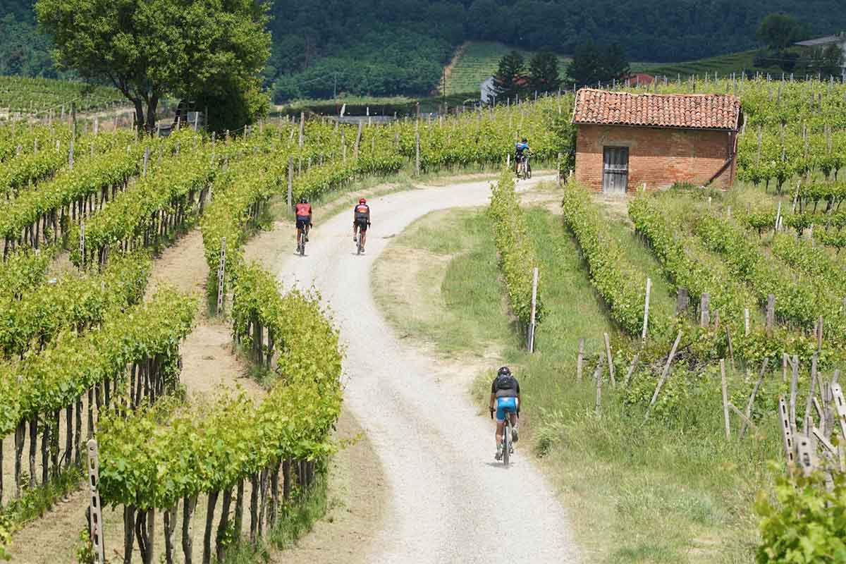 monferrando copia.jpg