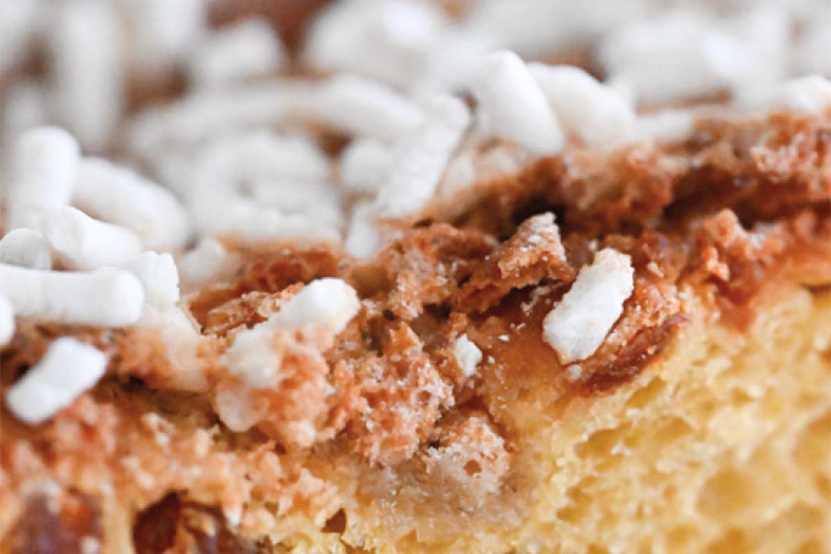 copertura colomba.jpg