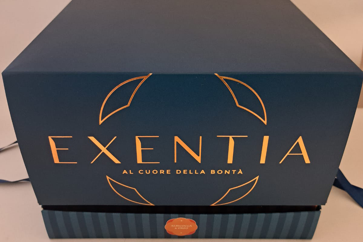 exentia-scatola panettone.jpg