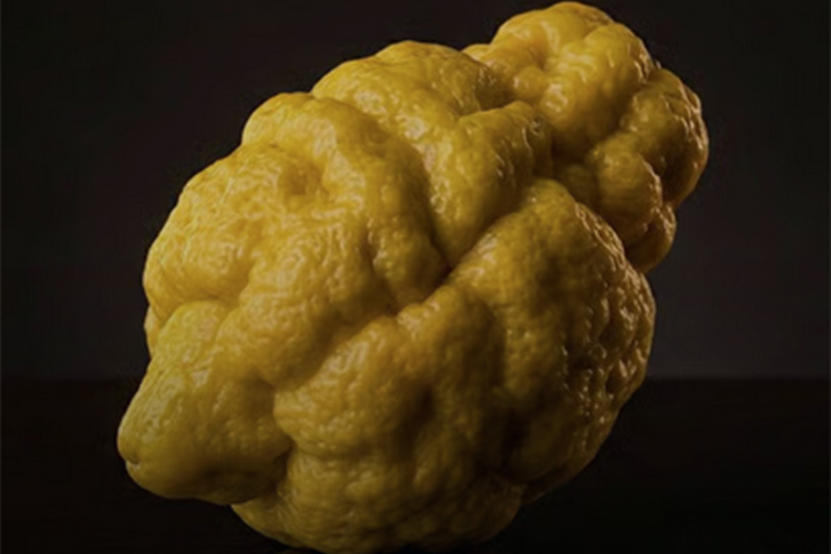limone.jpg