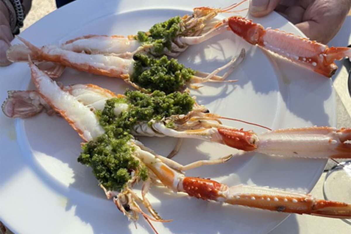 scampi di Oneglia.jpg