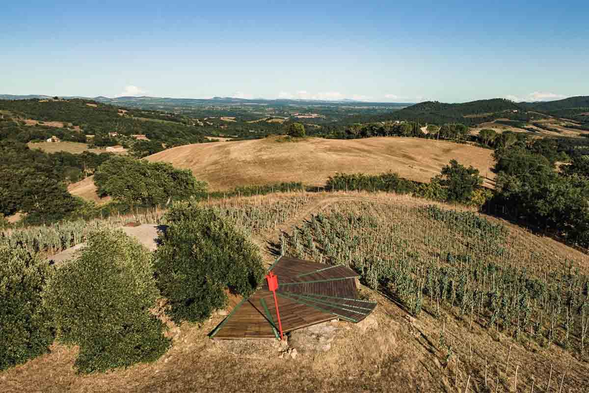 maliosa-vigneto.jpg