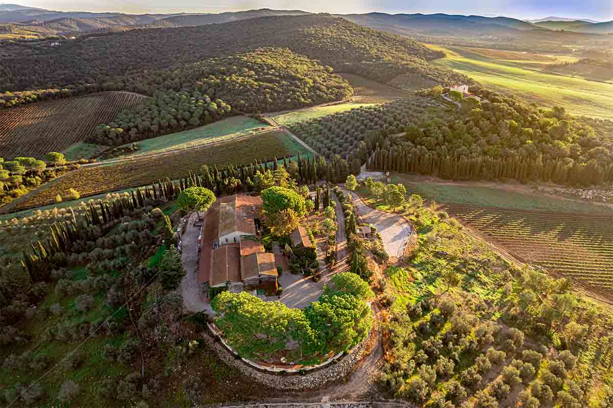 morisfarms_tenuta-drone.jpg