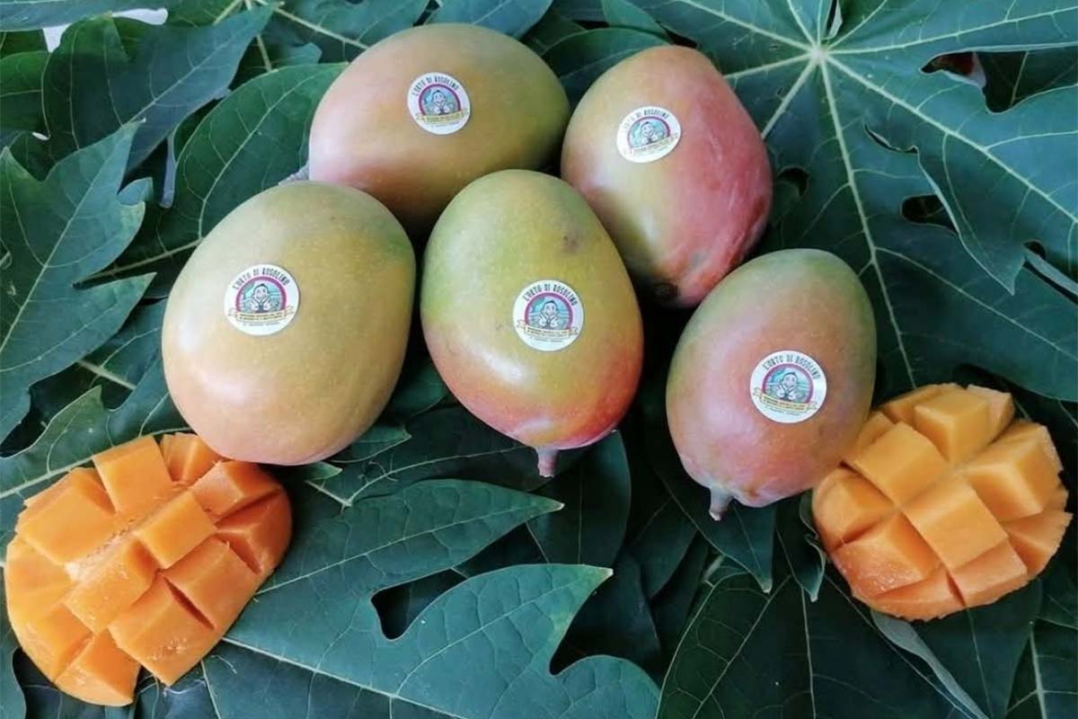 orto rosolino.jpg