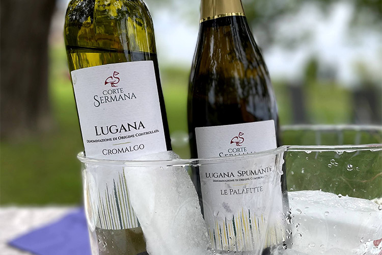 corte sermana vini.jpg