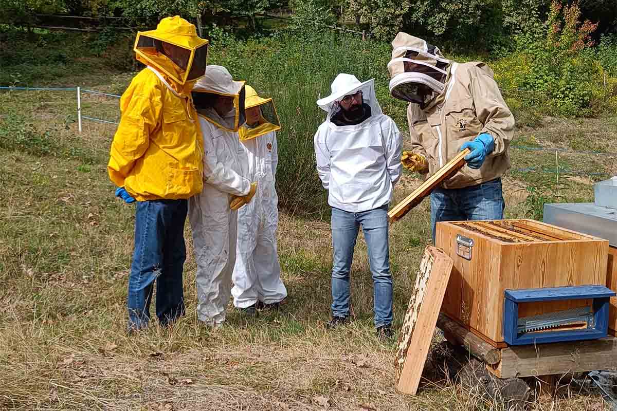 Visite in apiario copia.jpg