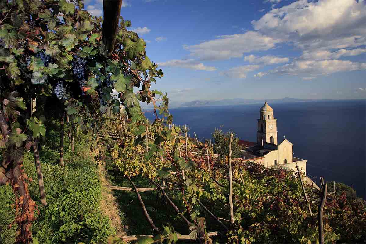 cuomo-vigne e mare.jpg