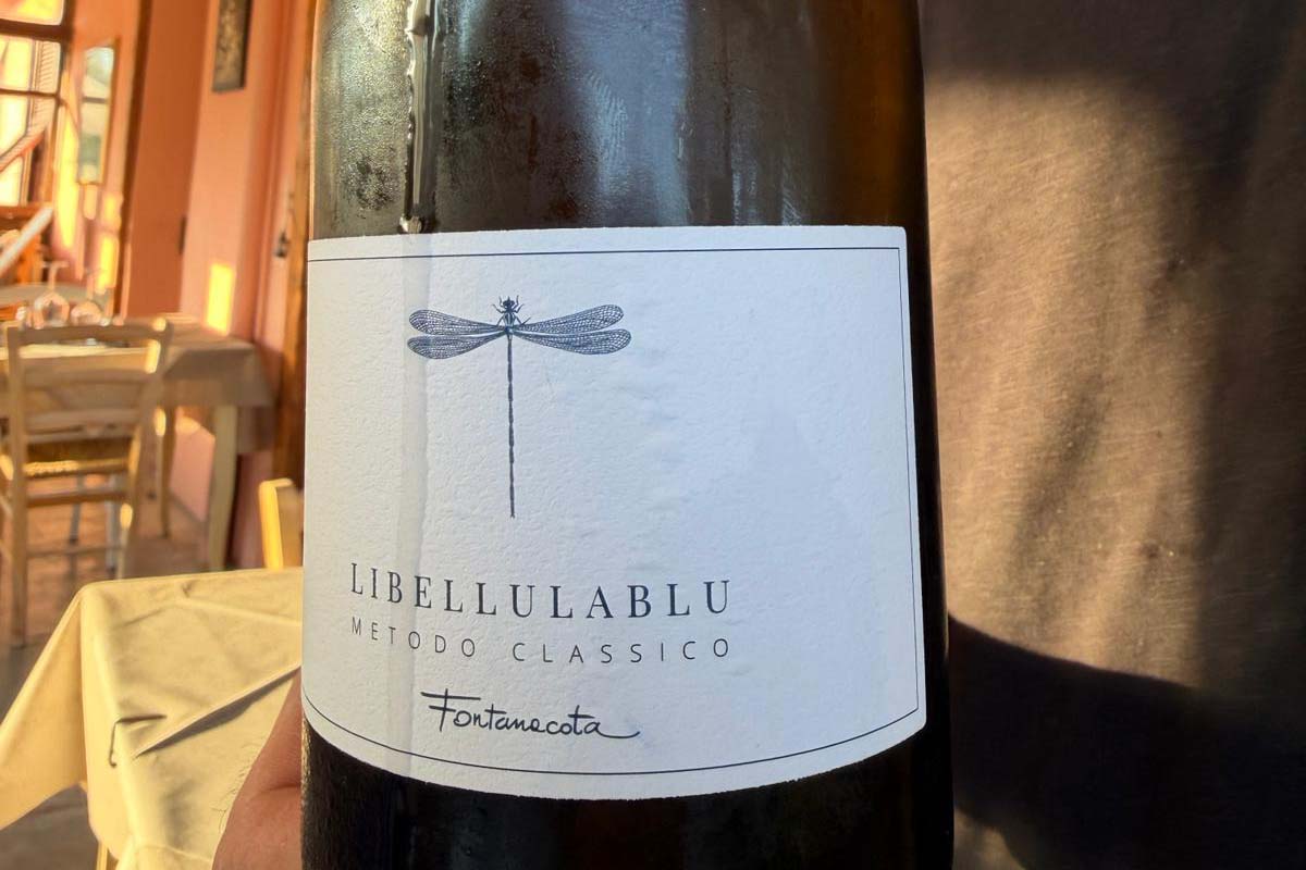 libellulablu.jpg