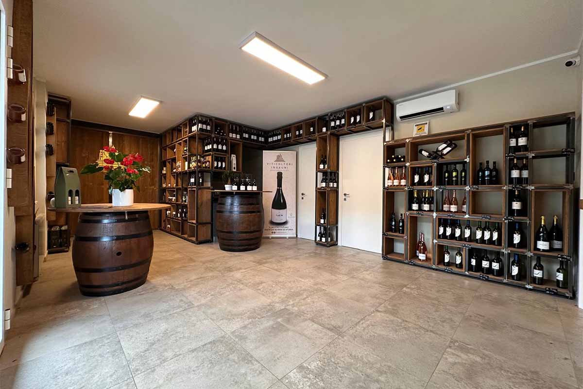 ingauni negozio interno copia.jpg