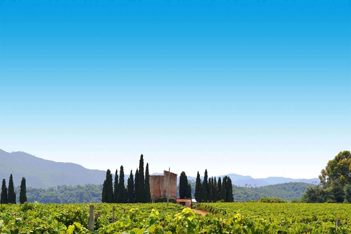 torre pernice_Panorama Torre  copia.jpg