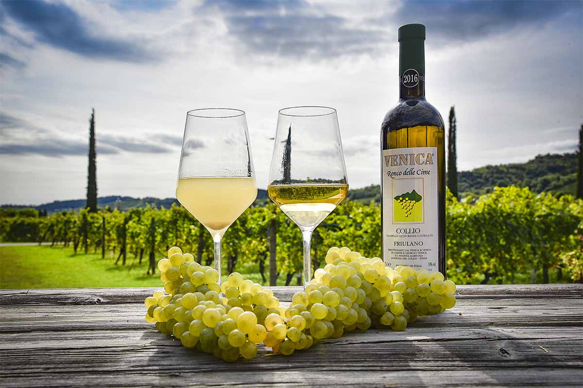VENICA & VENICA  _Ronco delle Cime _Uva & Mosto Vendemmia 2017 _4500x3000 _3 _Photo ©Carola Nitsch copia.jpg