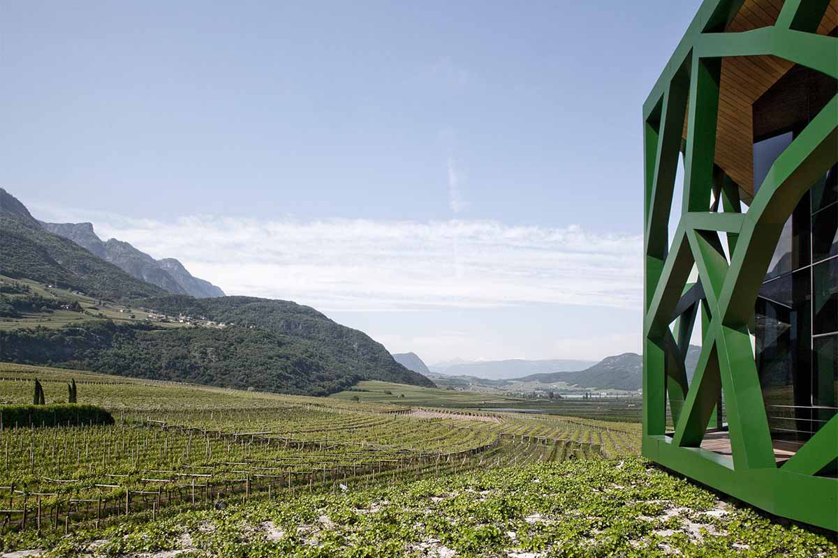 Tramin_cantina e vigne.jpg