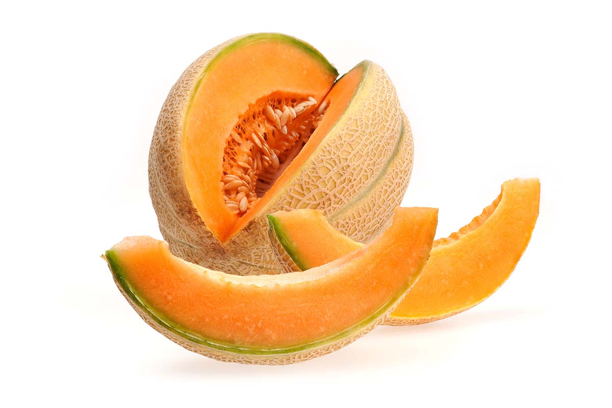 melone copia.jpg