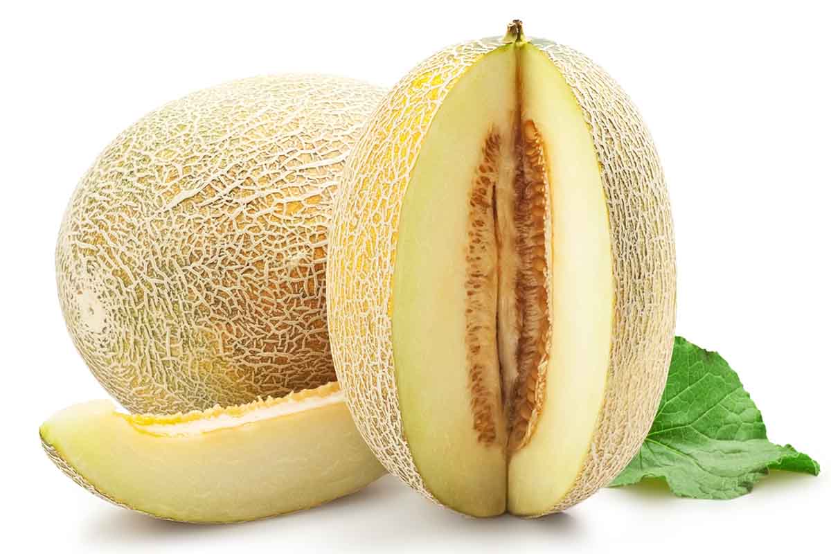 melone_bianco_ copia.jpg