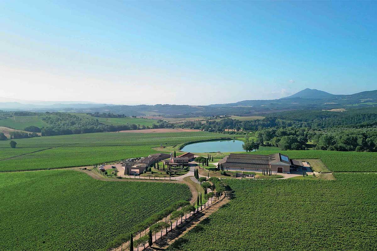 CARPINETO- veduta vigneti.jpg