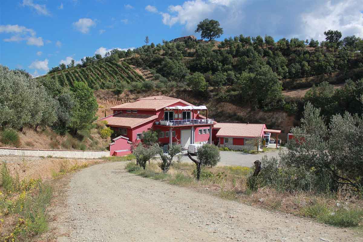 serracavallo-cantina.jpg