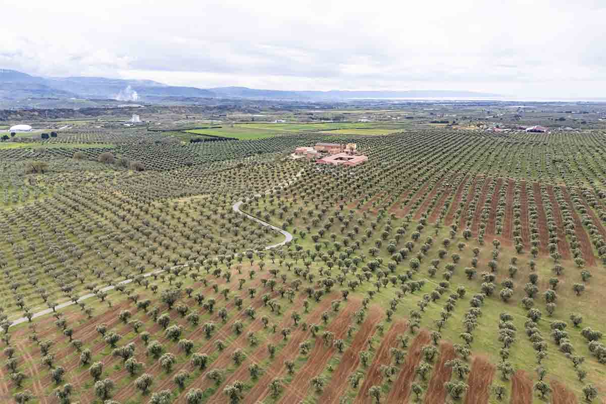 Statti-panorama.jpg