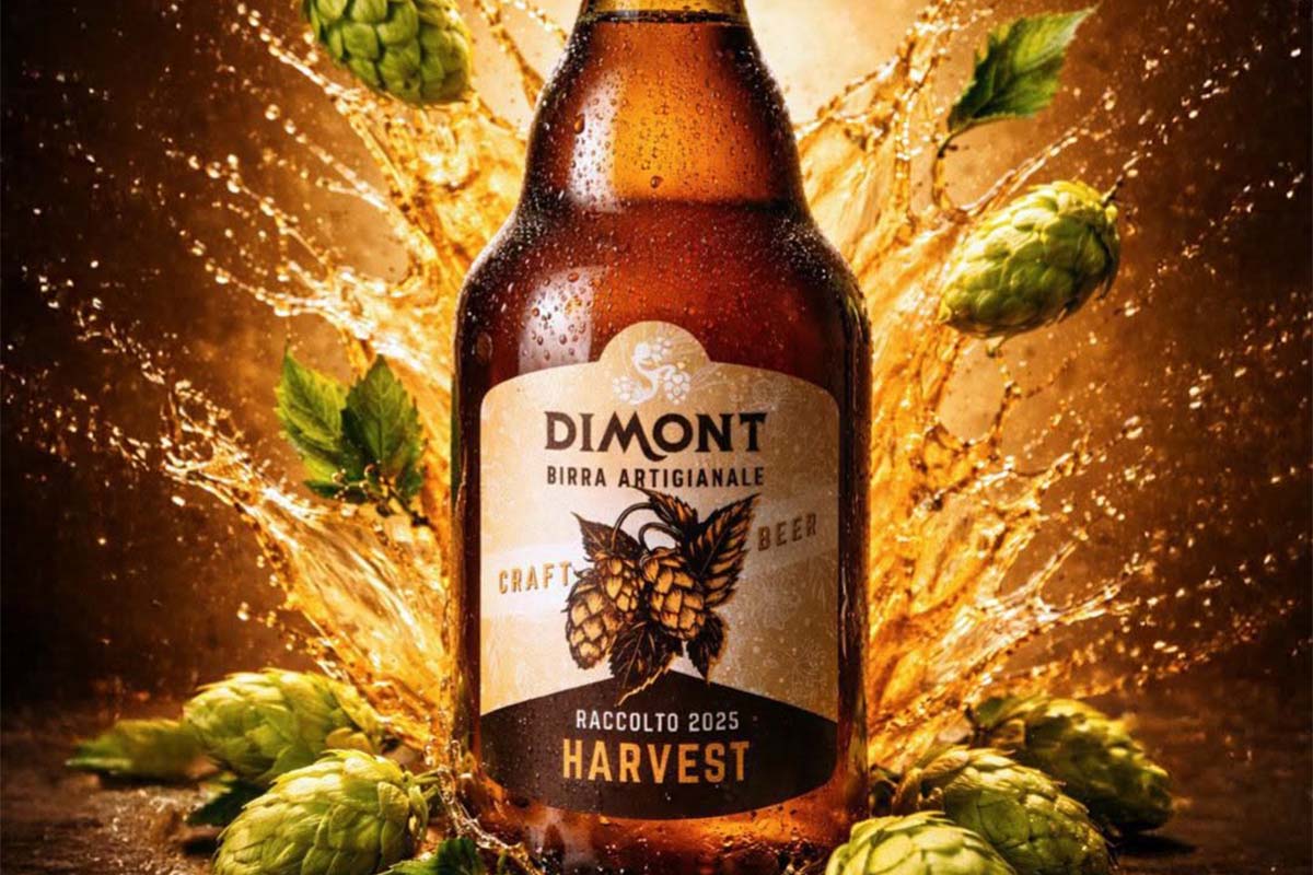 harvest.jpg