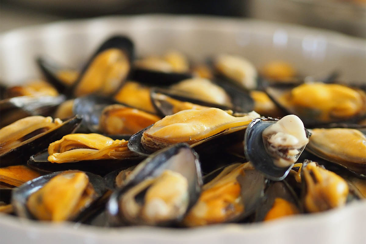 Cozze copia.jpg