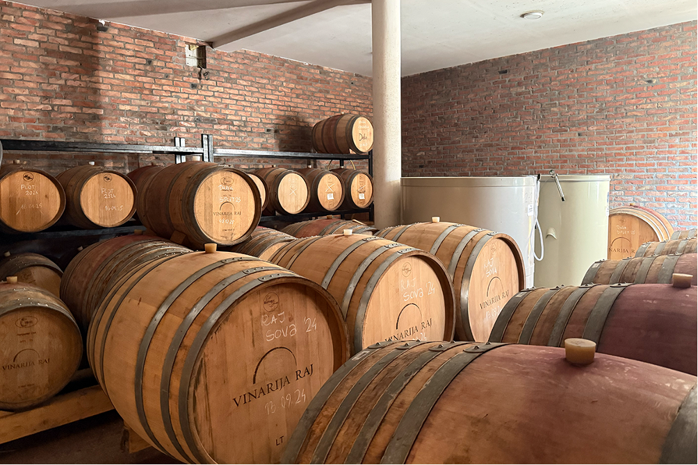 La cantina di Vinarija Raj e Dalia.png