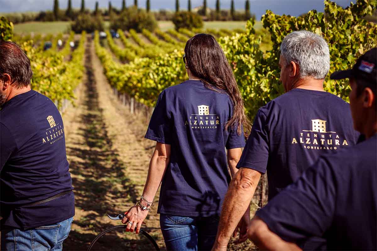 alzatura_vendemmia.jpg