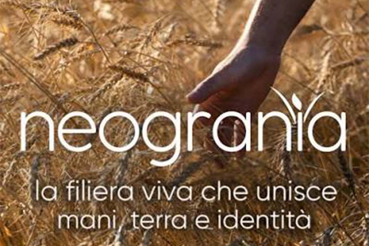 neogrania-slogan.jpg
