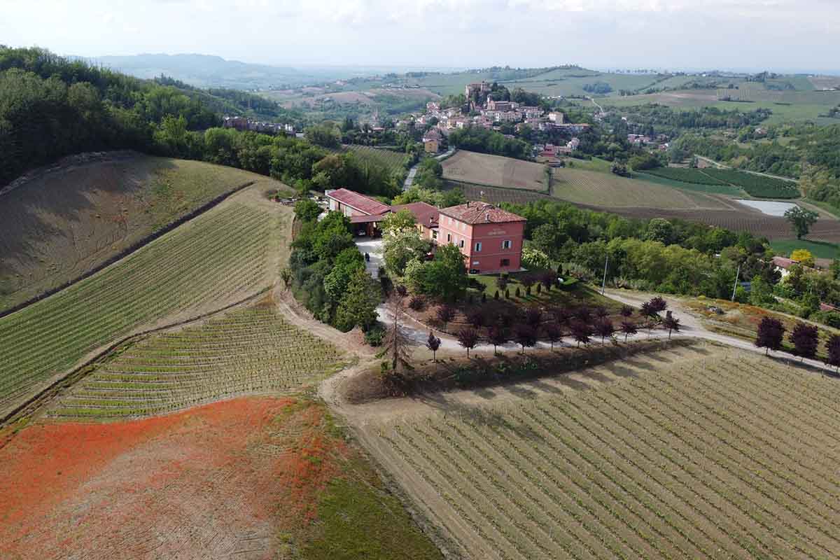 genevrina-da-alto.jpg