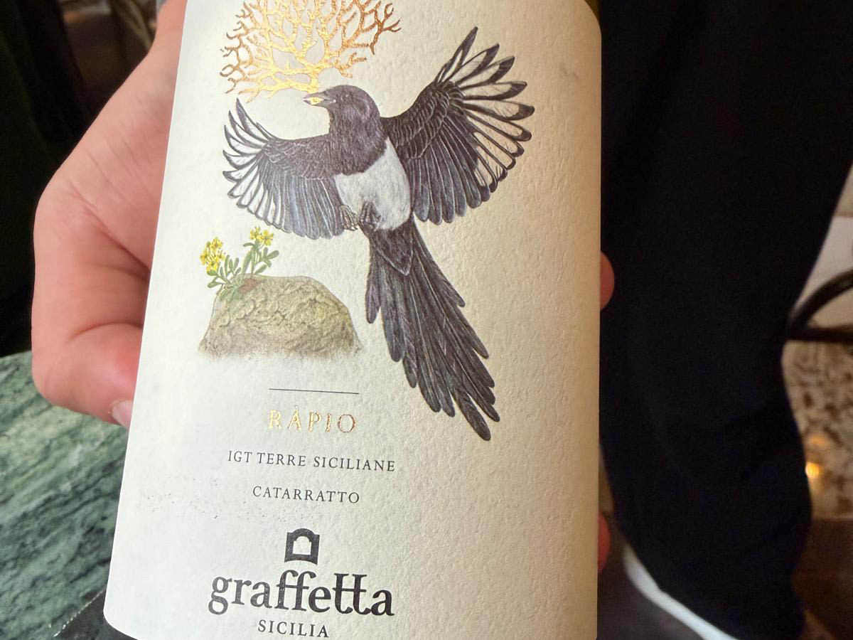 graffetta copia.jpg
