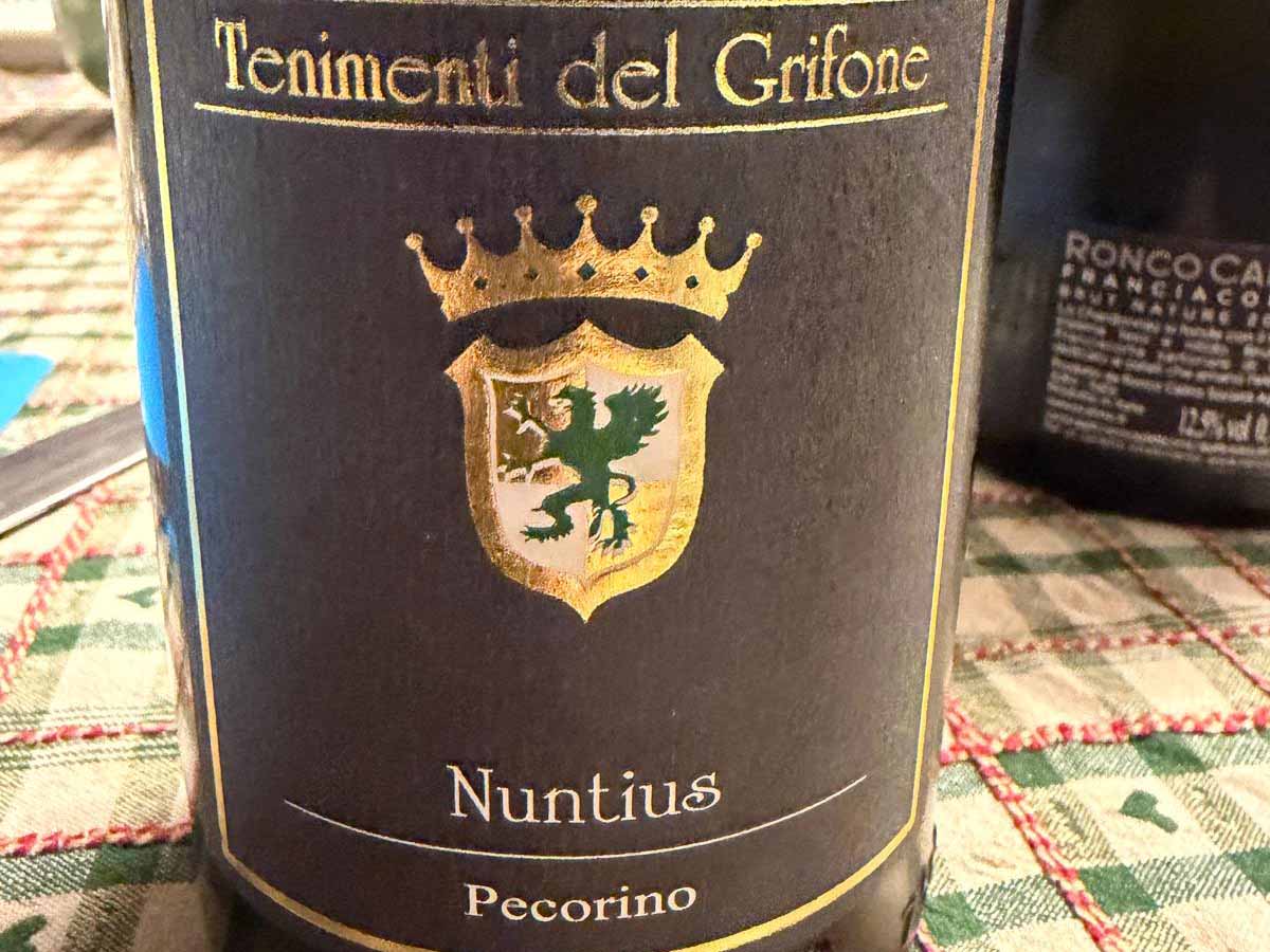 nuntius copia.jpg