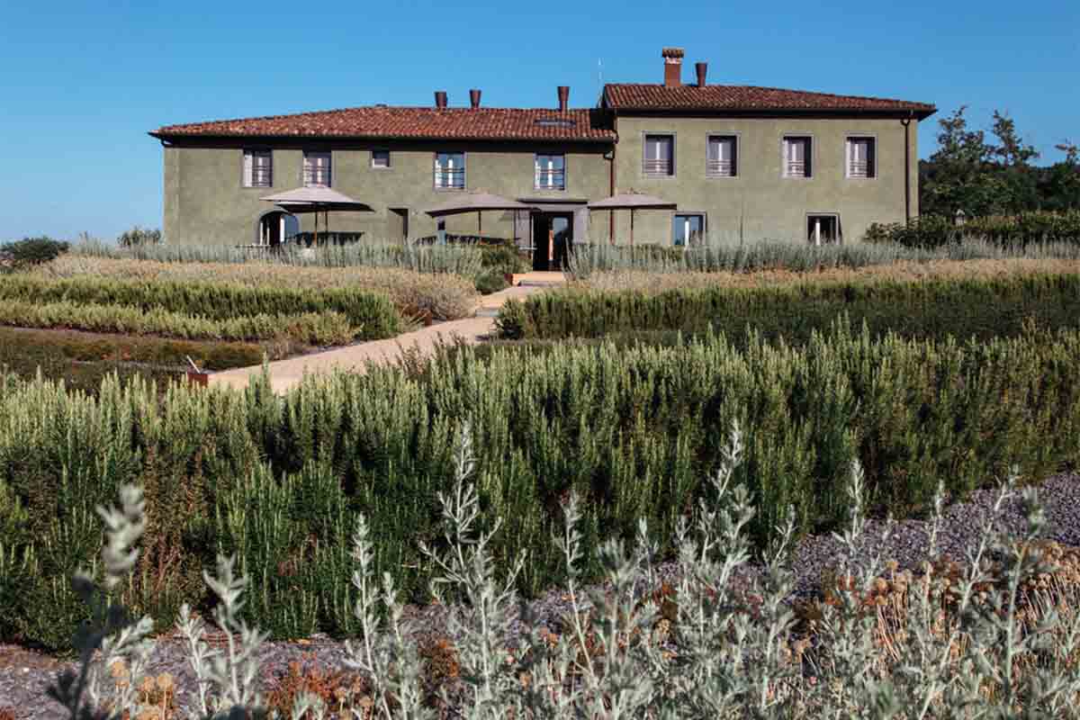 La raia_@Paola Calamarà copia.jpg