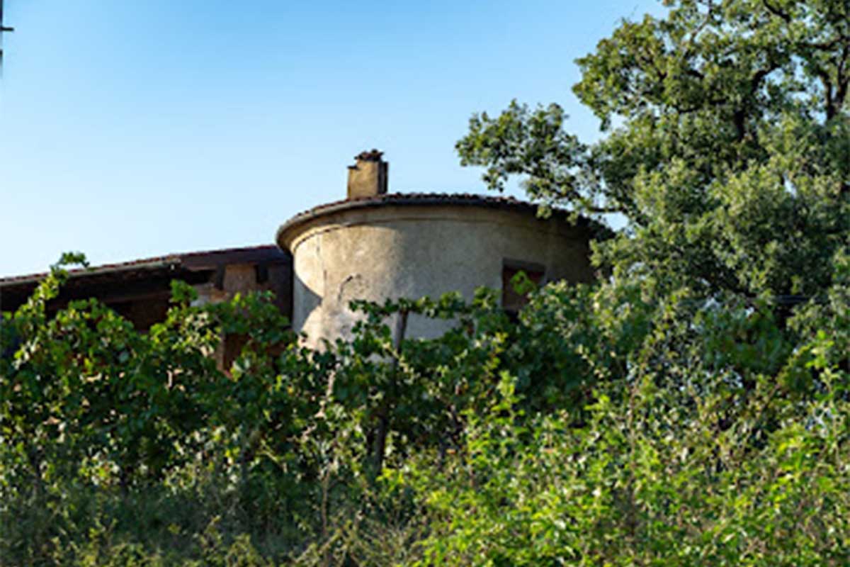 image2 copia.jpg