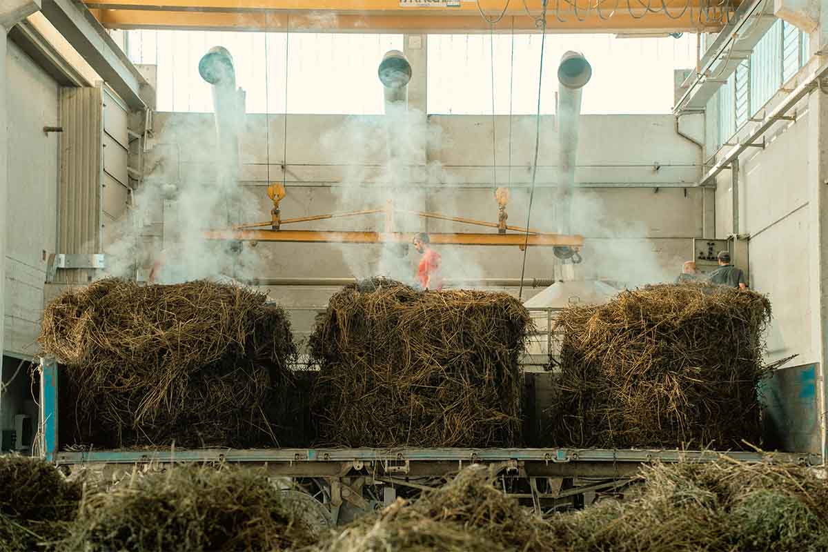 lavorazione.jpg