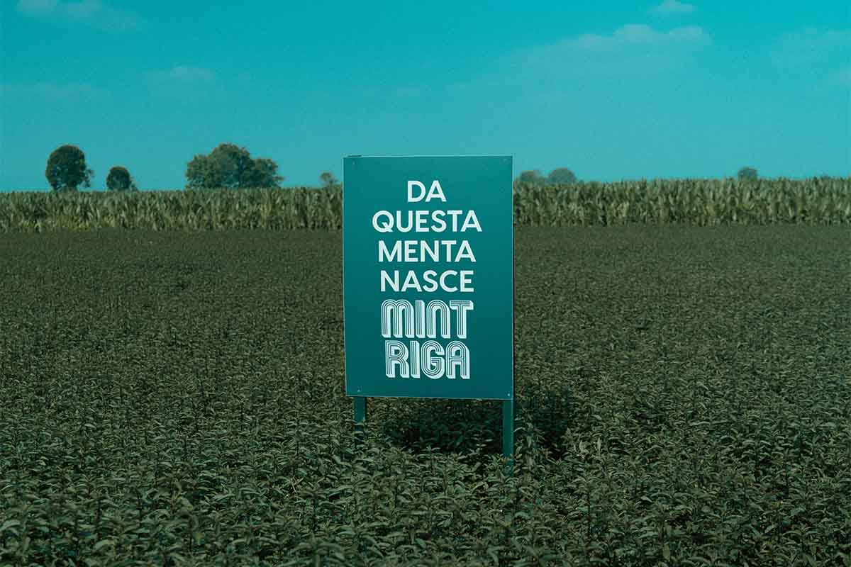 mint riga.jpg