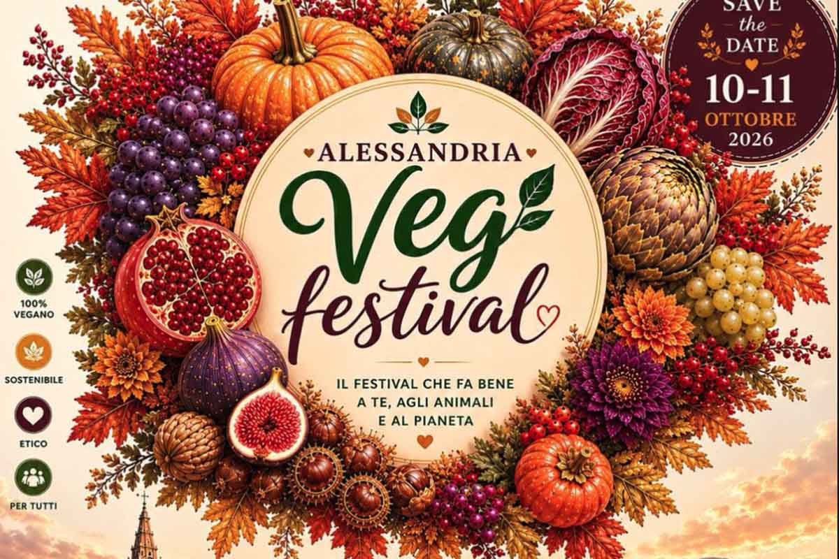 veg festival.jpg