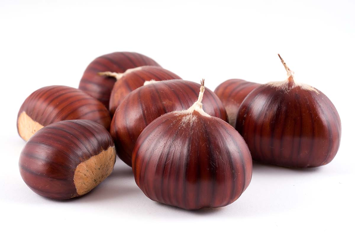 castagne_Fotolia.jpg