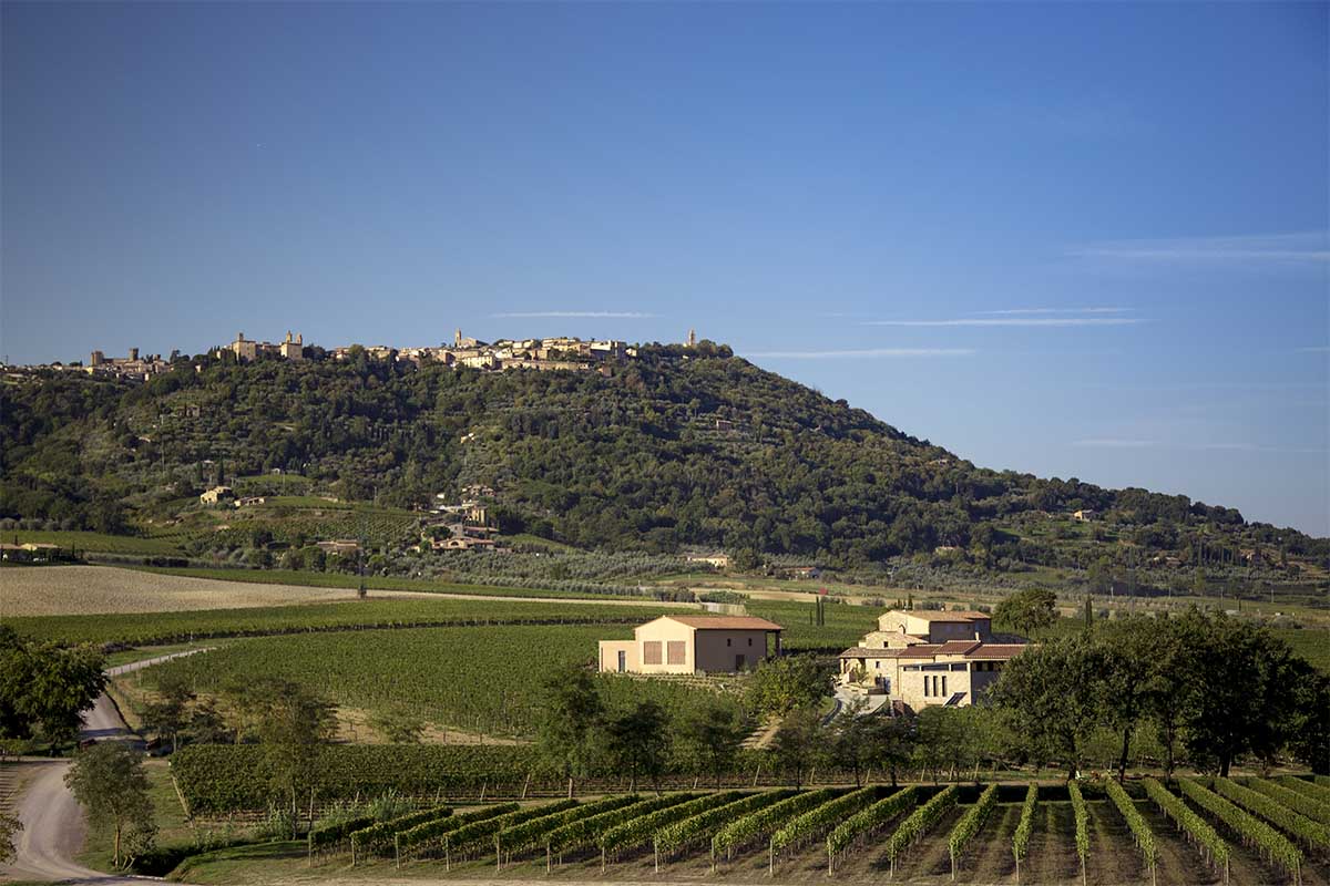 Ridolfi-Montalcino0C1C9861 2 copia.jpg